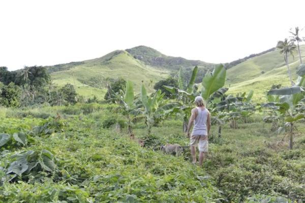 Bay Of Plenty Nature Lodge Nanuya Lailai Bagian luar foto