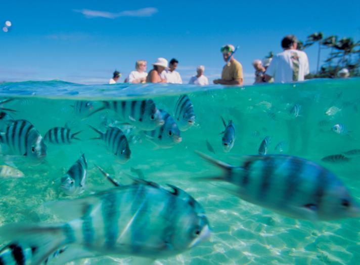 Bay Of Plenty Nature Lodge Nanuya Lailai Bagian luar foto
